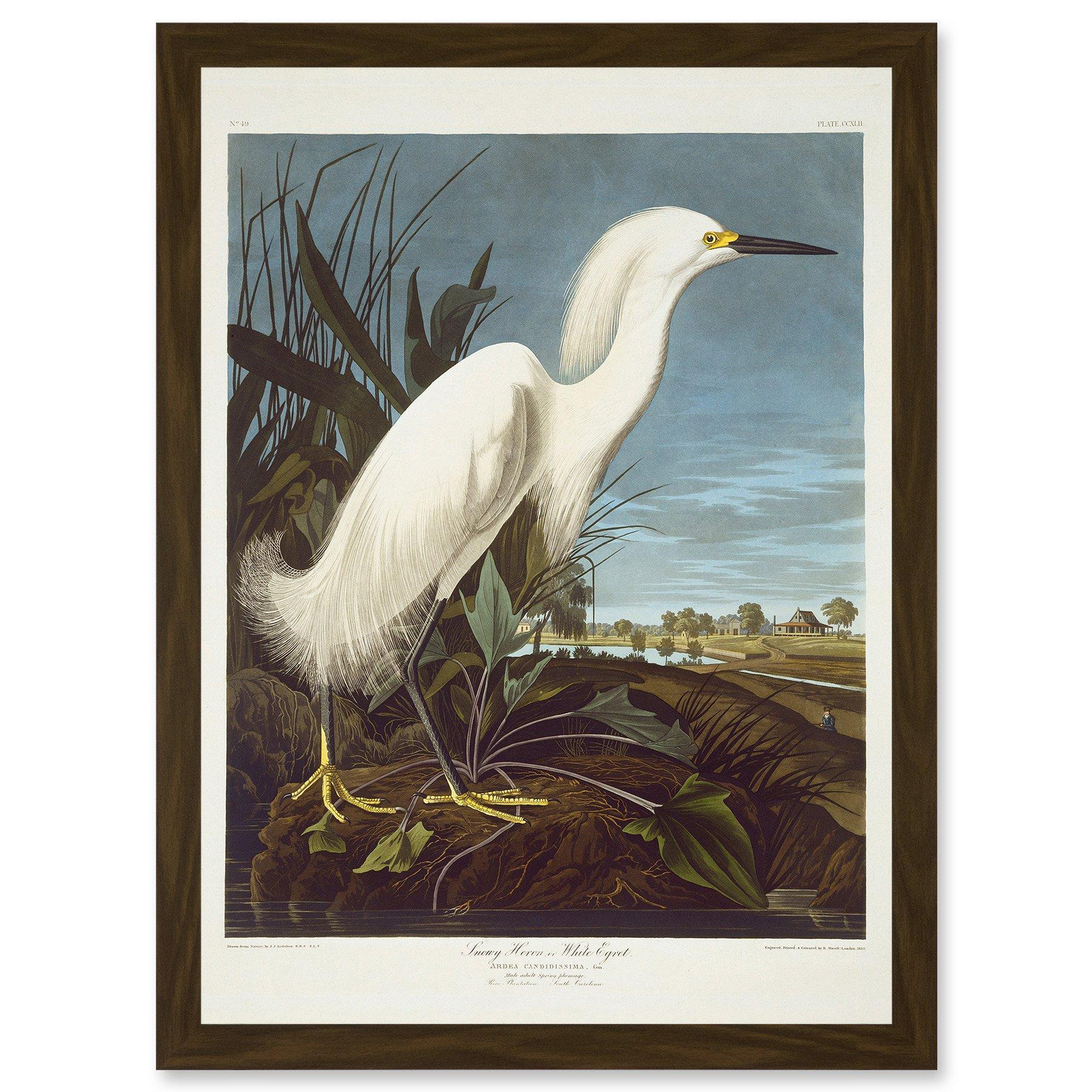 Painting Bird Audubon Snowy Heron Egret Artwork Framed Wall Art Print A4 - image 1