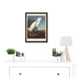 Painting Bird Audubon Snowy Heron Egret Artwork Framed Wall Art Print A4 - thumbnail 2