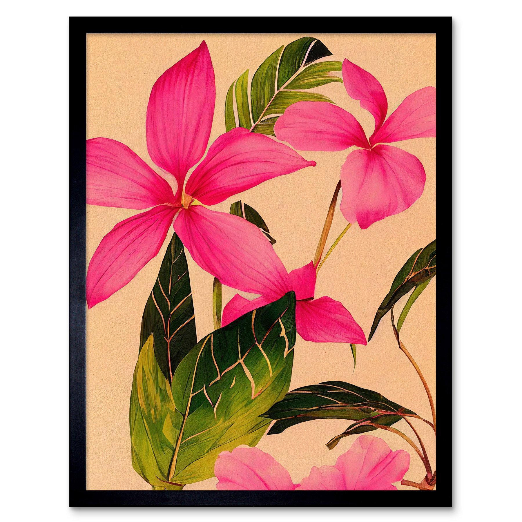 Exotic Pink Plumeria Flower Plant Blooms Watercolour Pencil Illustration Art Print Framed Poster Wall Decor 12x16 inch - image 1