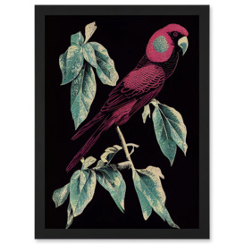 Burgundy Parakeet Retro Modern Vintage Tropical Jungle Artwork Framed Wall Art Print A4