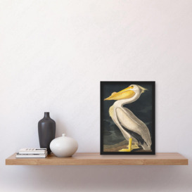 John James Audubon Style Pelican Bird Vintage Detailed Illustration Artwork Framed Wall Art Print A4 - thumbnail 2