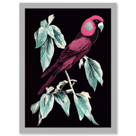 Coral Parrot On Tree Branch Silver Linocut Illustration Modern Vibrant Artwork Framed Wall Art Print A4