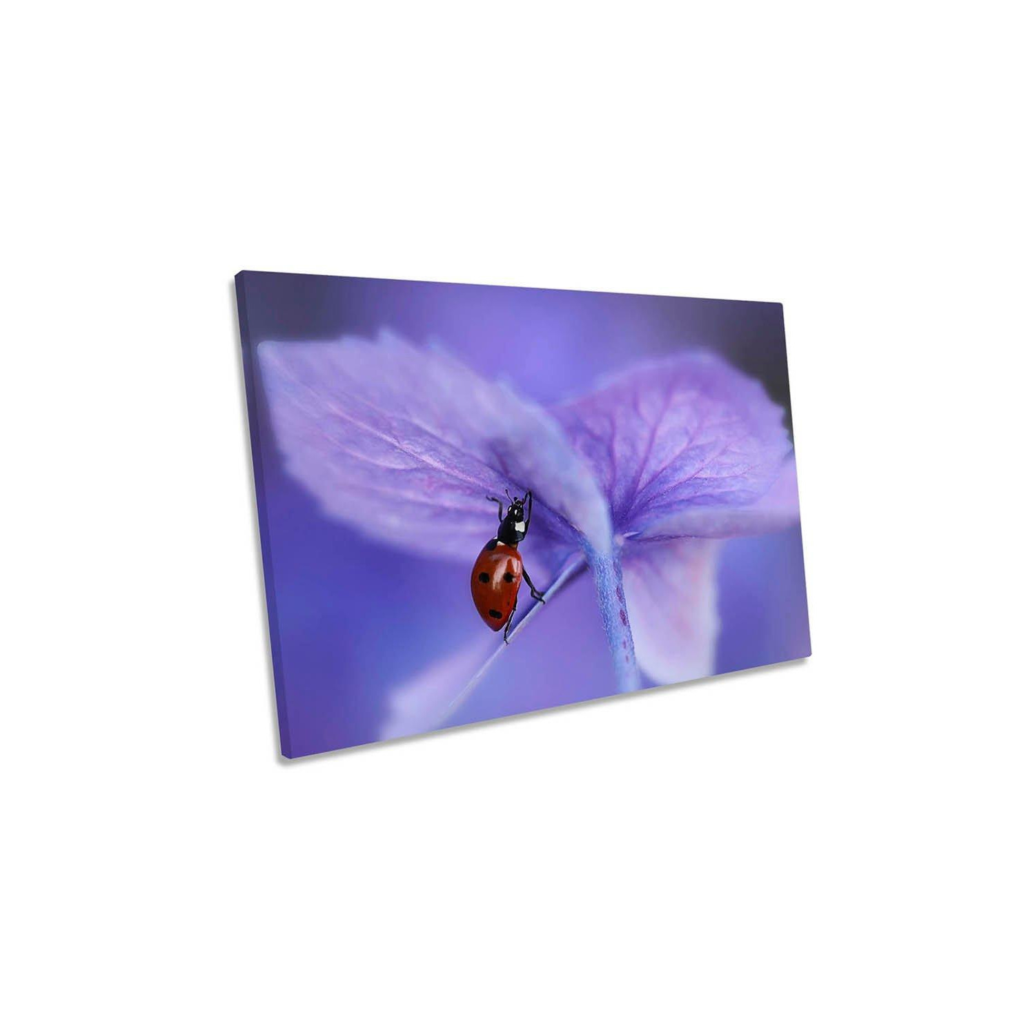 Ladybird on Purple Flower Canvas Wall Art Picture Print - image 1