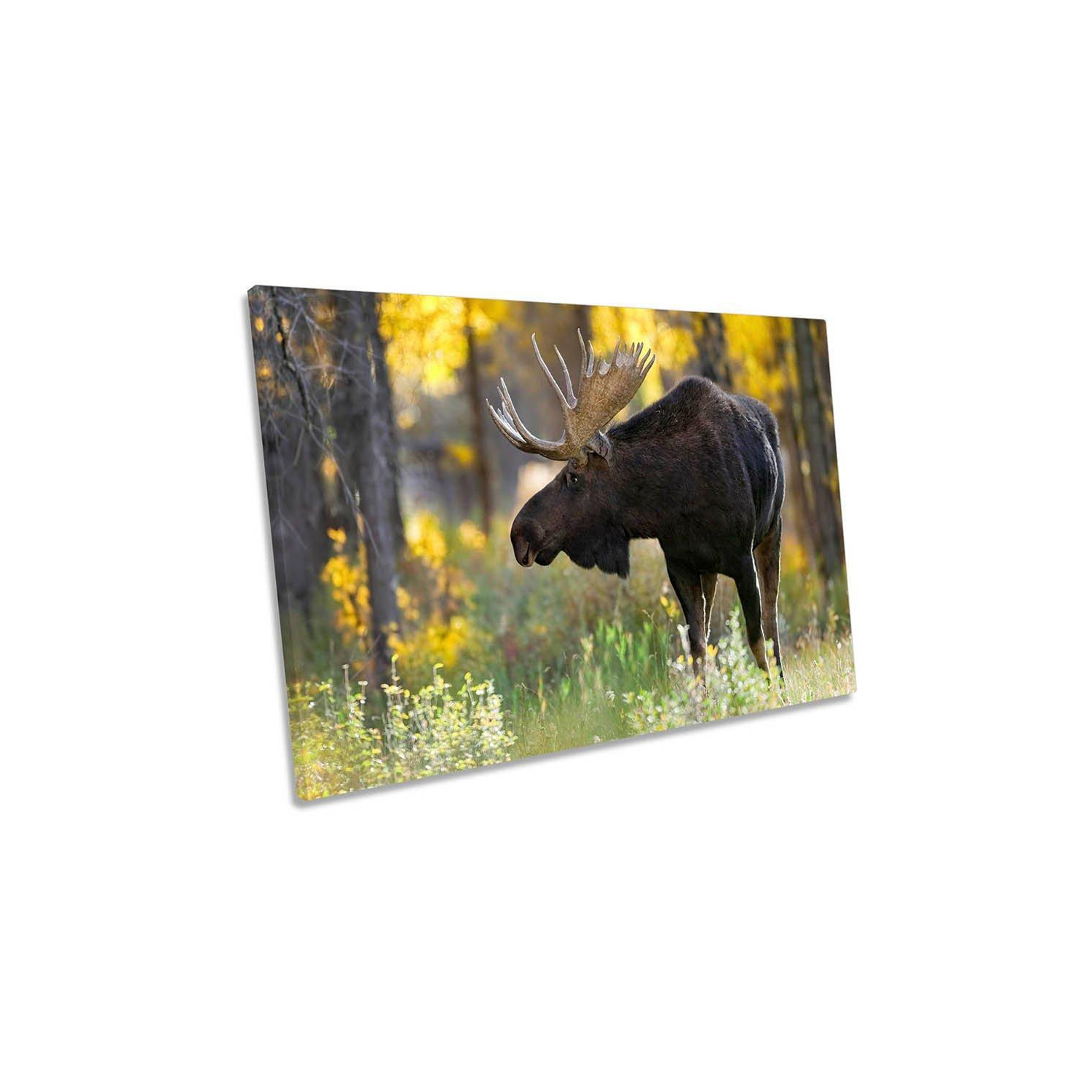 Royalty Moose Antlers Canvas Wall Art Picture Print - image 1
