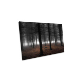 Silence Forest Moody Landscape Canvas Wall Art Picture Print