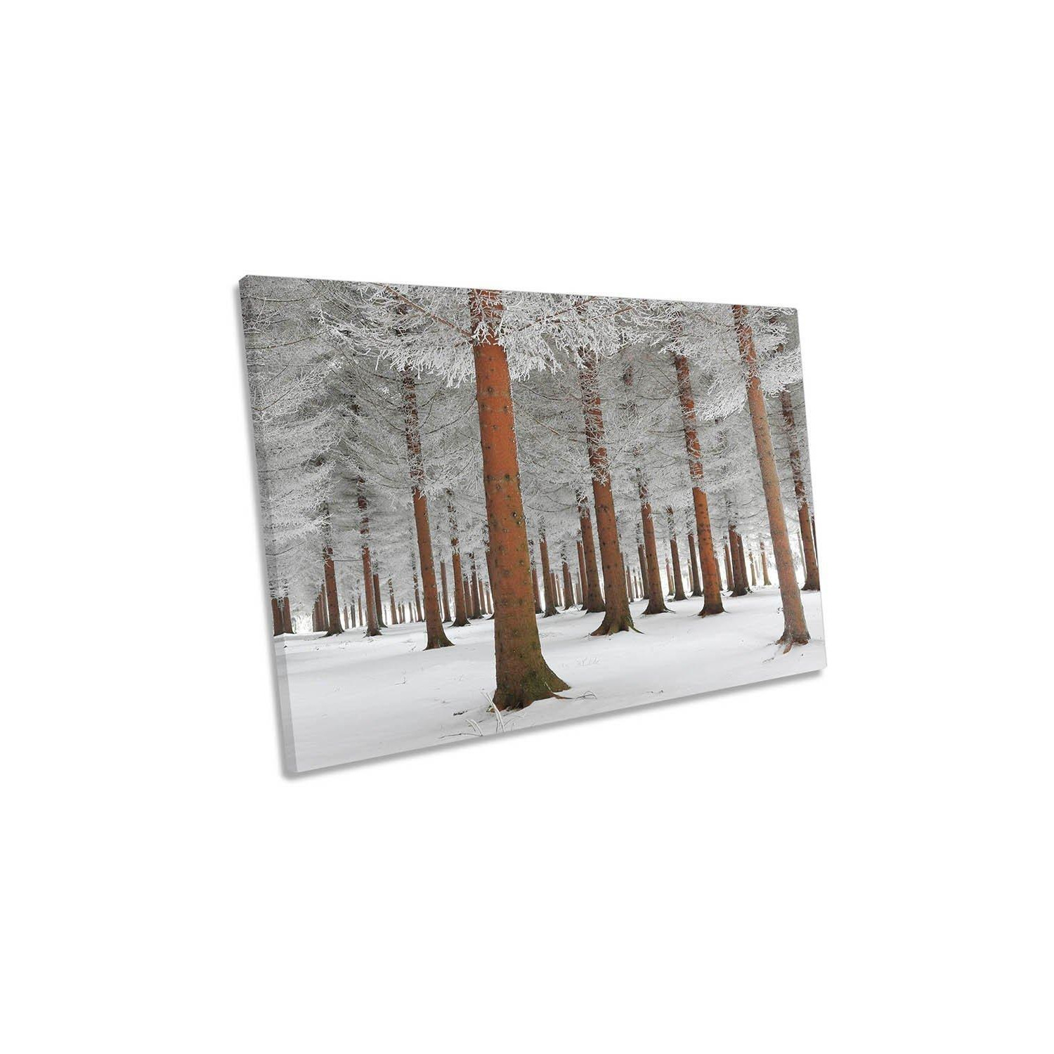 The White Forest Snow Winter Canvas Wall Art Picture Print - image 1