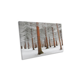 The White Forest Snow Winter Canvas Wall Art Picture Print - thumbnail 1
