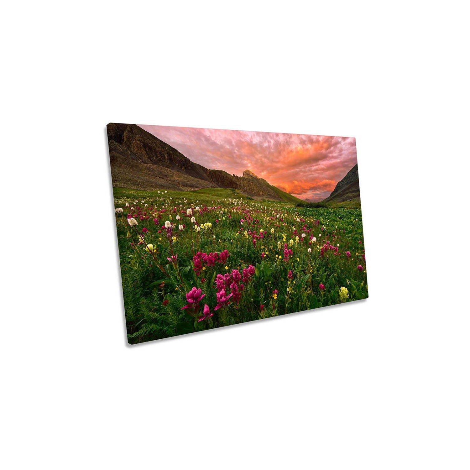 Carpet of Wildflowers Mountain Sunset Canvas Wall Art Picture Print - image 1