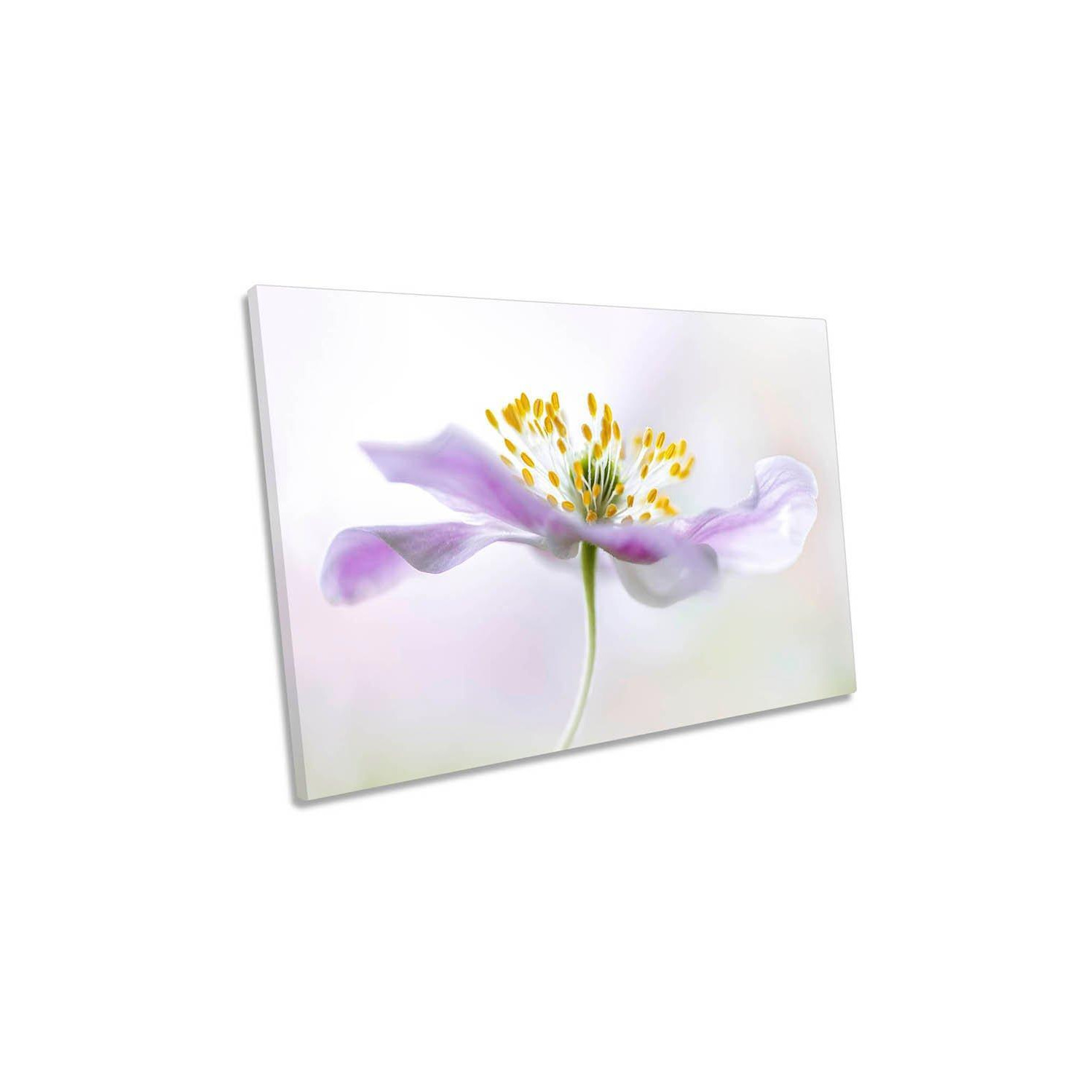 Anemone Flower Floral Purple Canvas Wall Art Picture Print - image 1