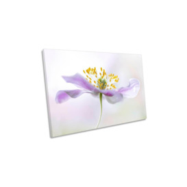 Anemone Flower Floral Purple Canvas Wall Art Picture Print