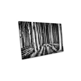 Ghost Forest Tree Shadows Canvas Wall Art Picture Print