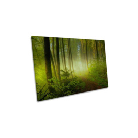 Early Fall Forest Misty Landscape Green Canvas Wall Art Picture Print