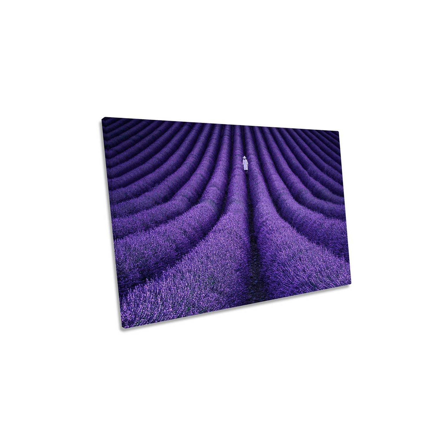 Purple Lavender Woman Summer Floral Canvas Wall Art Picture Print - image 1