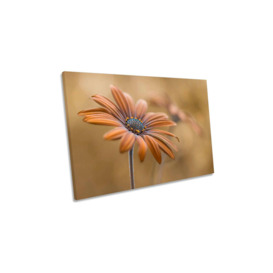 Summer Glow Floral Flower Canvas Wall Art Picture Print
