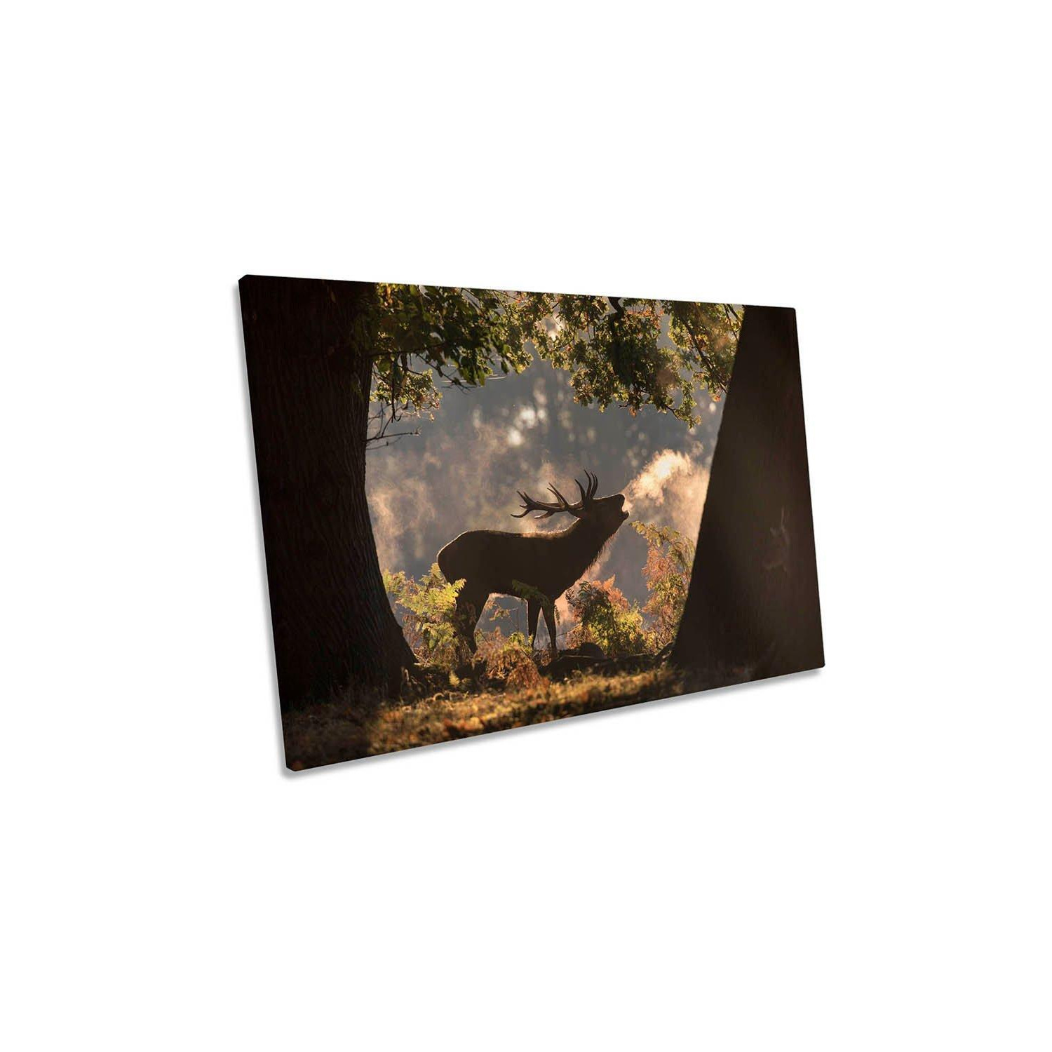 He Waits in the Shadows Stag Wildlife Canvas Wall Art Picture Print - image 1