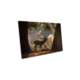 He Waits in the Shadows Stag Wildlife Canvas Wall Art Picture Print - thumbnail 1