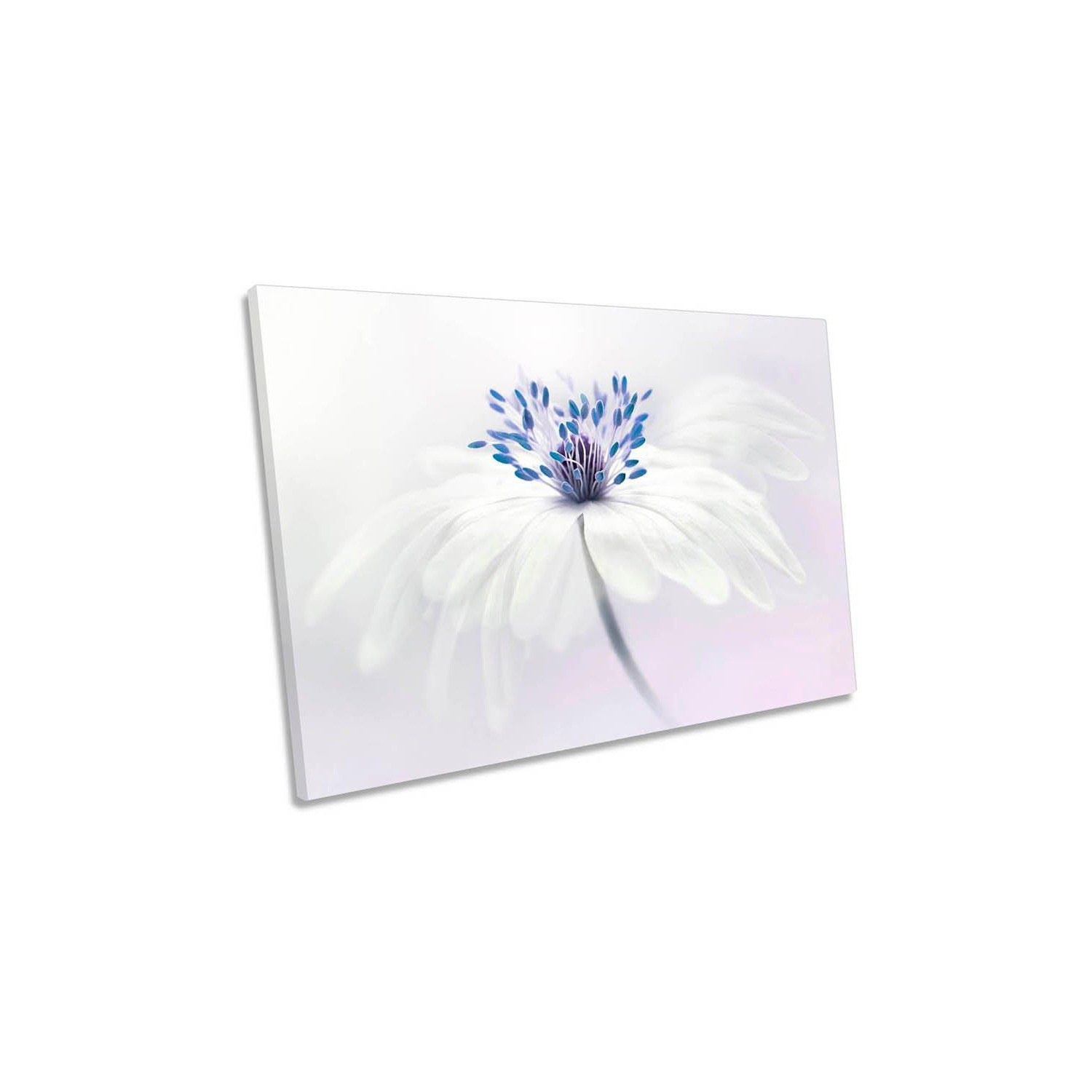 Anemone Blanda Soft Flower White Canvas Wall Art Picture Print - image 1