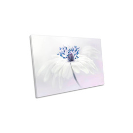 Anemone Blanda Soft Flower White Canvas Wall Art Picture Print - thumbnail 1