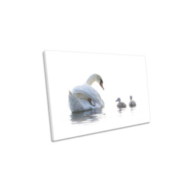 Mother Swan Ducklings Family Canvas Wall Art Picture Print - thumbnail 1