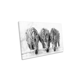 Drinking Zebras Black and White Waterhole Canvas Wall Art Picture Print