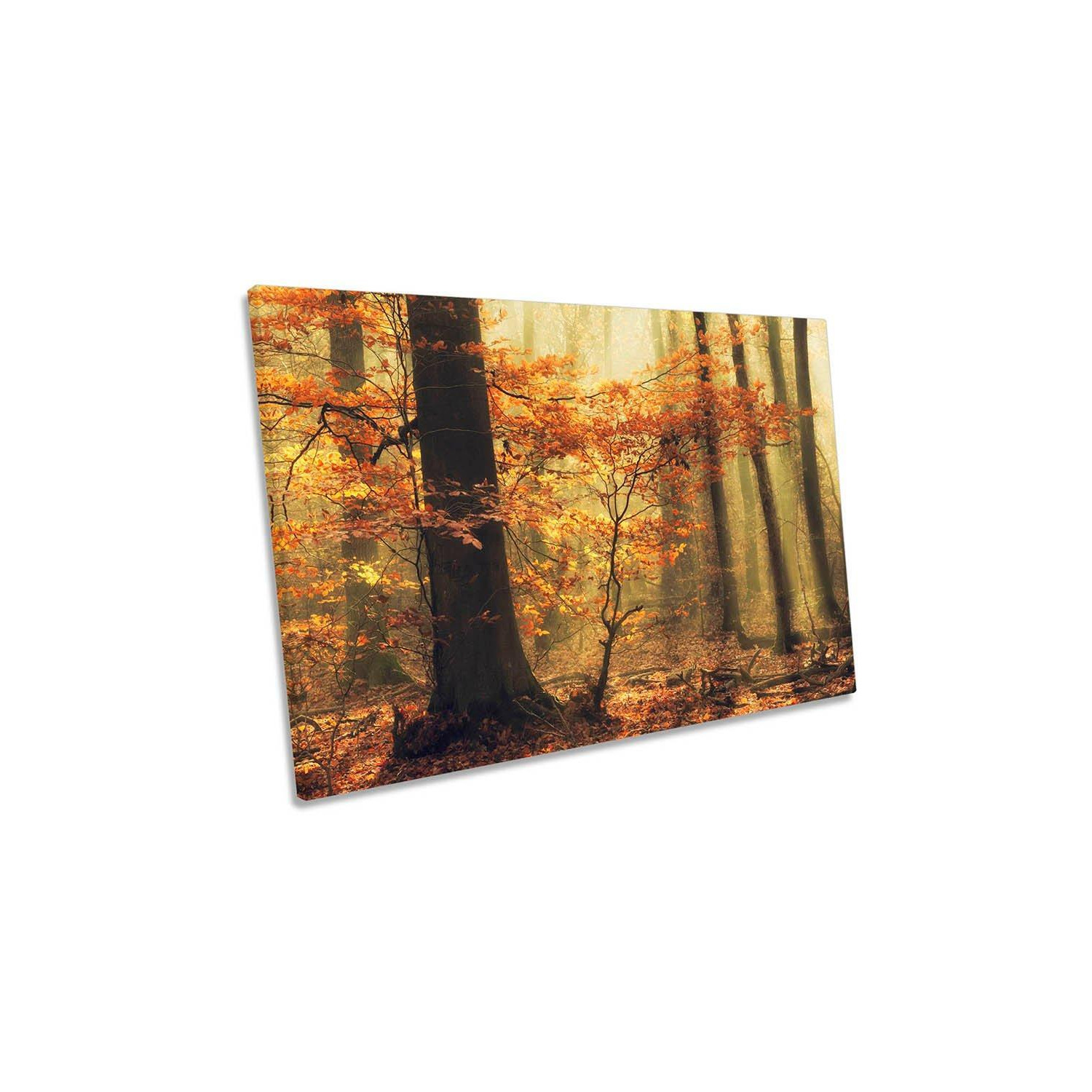 Orange Fall Autumn Forest Trees Canvas Wall Art Picture Print - image 1