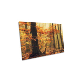 Orange Fall Autumn Forest Trees Canvas Wall Art Picture Print - thumbnail 1