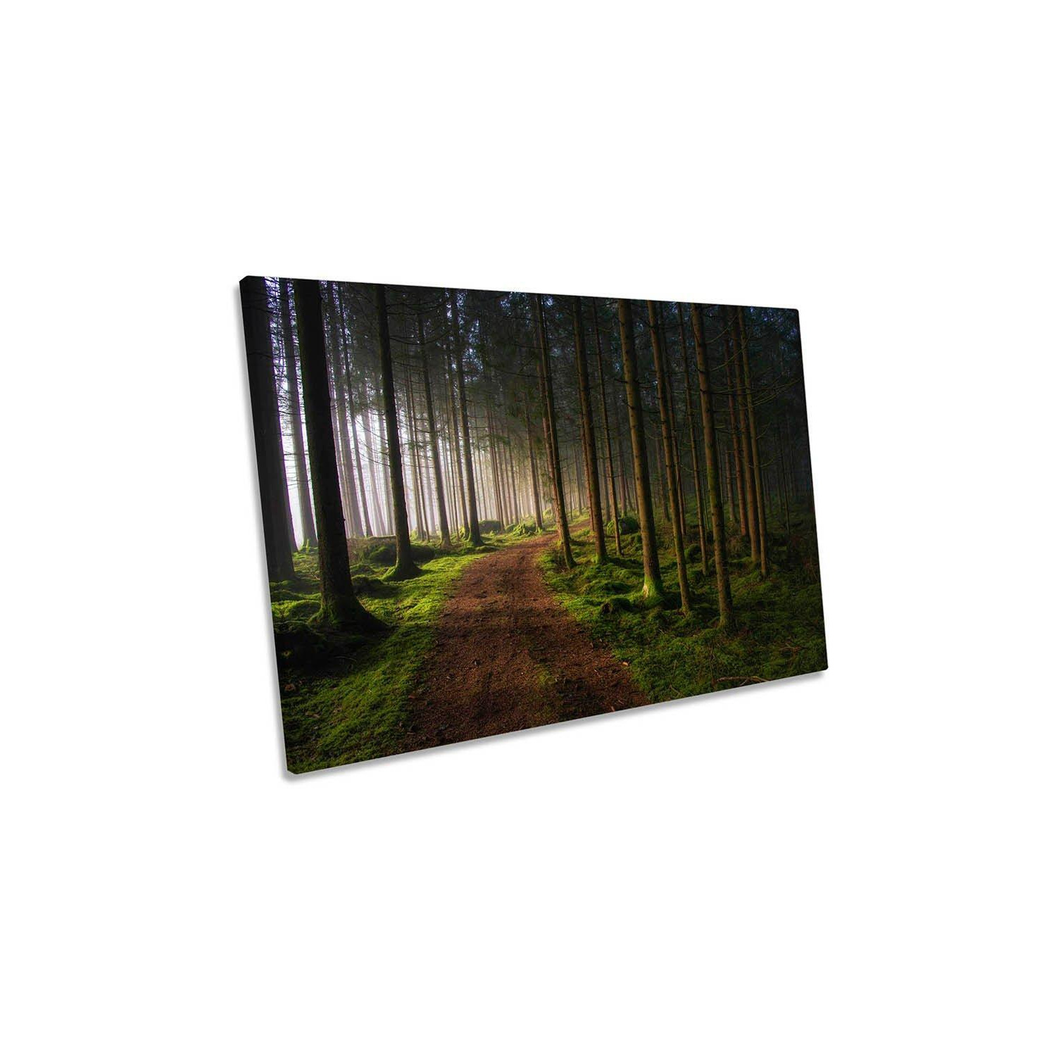 The Awakening Forest Nature Green Canvas Wall Art Picture Print - image 1