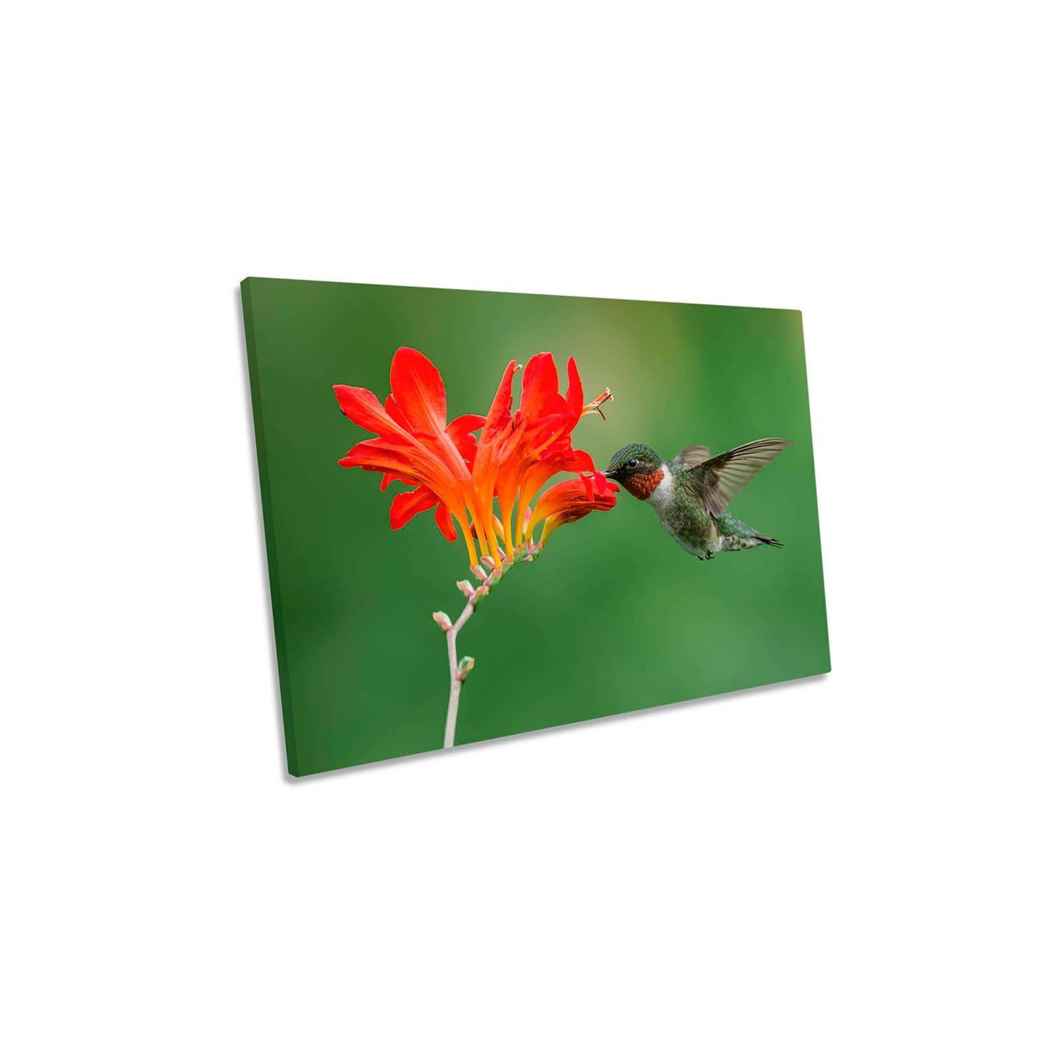 Ruby Throated Hummingbird Flower Canvas Wall Art Picture Print - image 1
