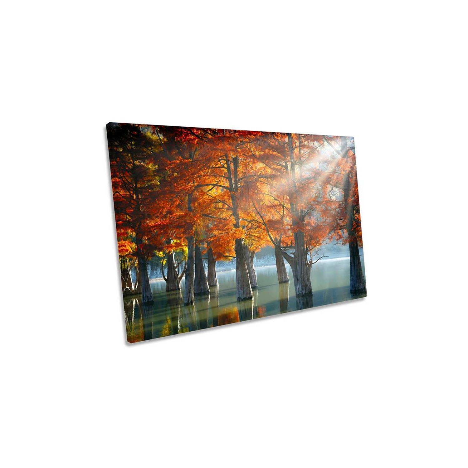 Sunny Orange Cypress Trees Lake Landscape Canvas Wall Art Picture Print - image 1