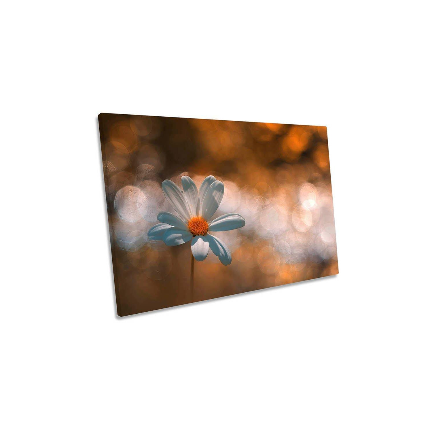 White Daisy Flower Floral Orange Background Canvas Wall Art Picture Print - image 1