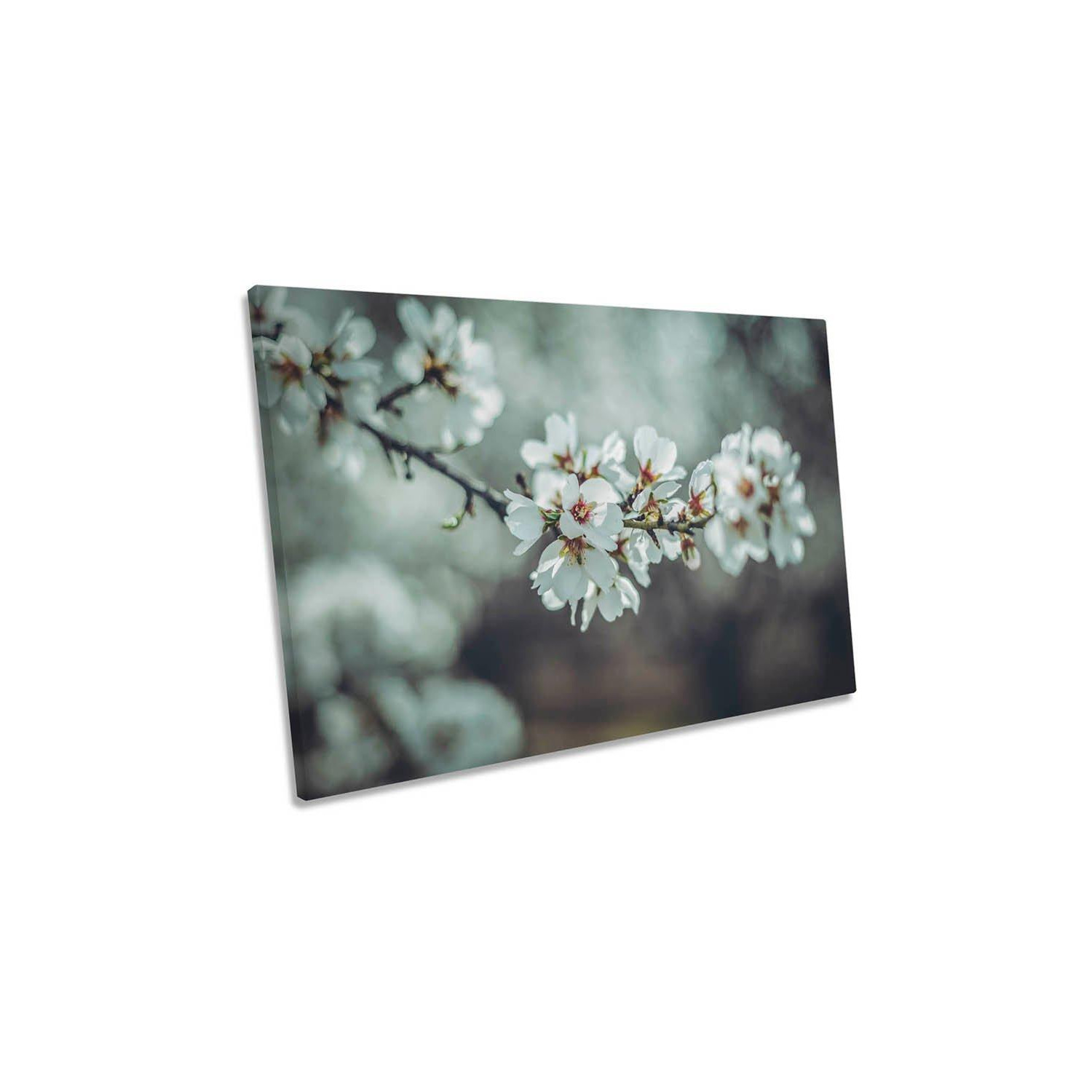 Almond Blossoms Floral Flowers Spring Canvas Wall Art Picture Print - image 1
