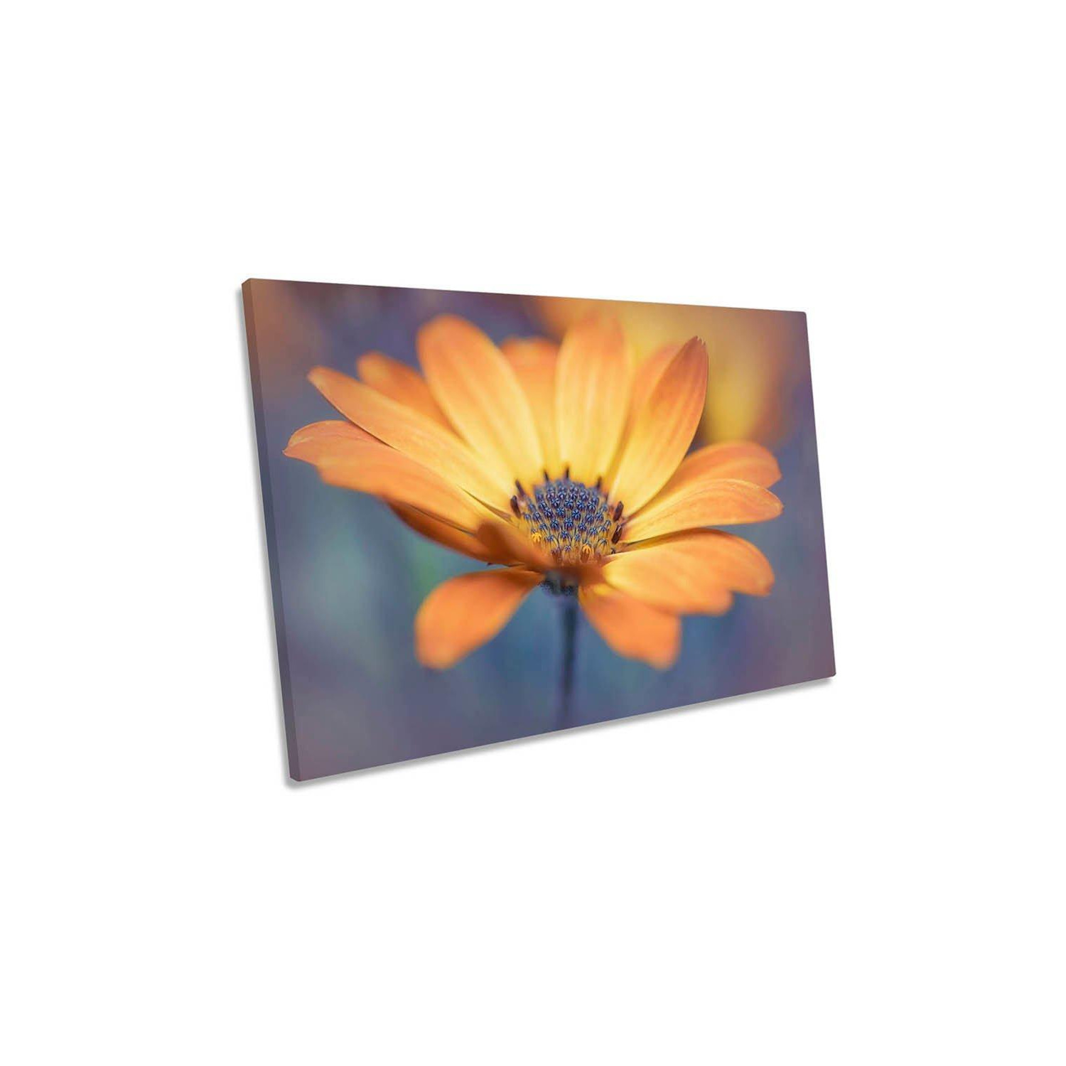 Orange Delight Daisy Flower Floral Canvas Wall Art Picture Print - image 1