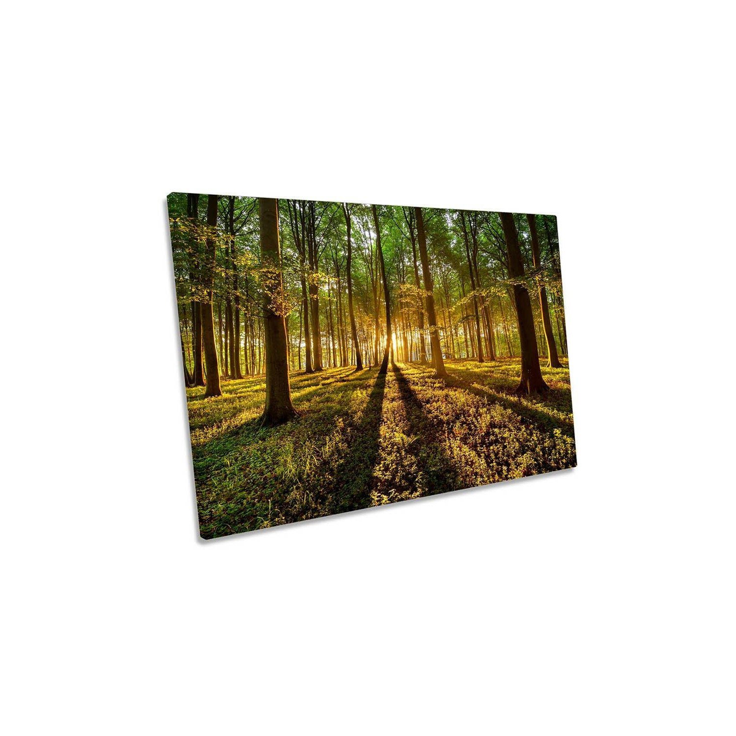 Forest Light Landscape Green Sunlight Canvas Wall Art Picture Print - image 1