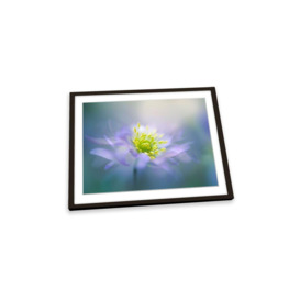Anemone Flower Floral Soft Petals Framed Art Print Picture Wall Artwork - (W)35cm x (H)26cm