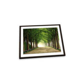 Metasequoia Road Green Trees Pathway Framed Art Print Picture Wall Artwork - (W)35cm x (H)26cm