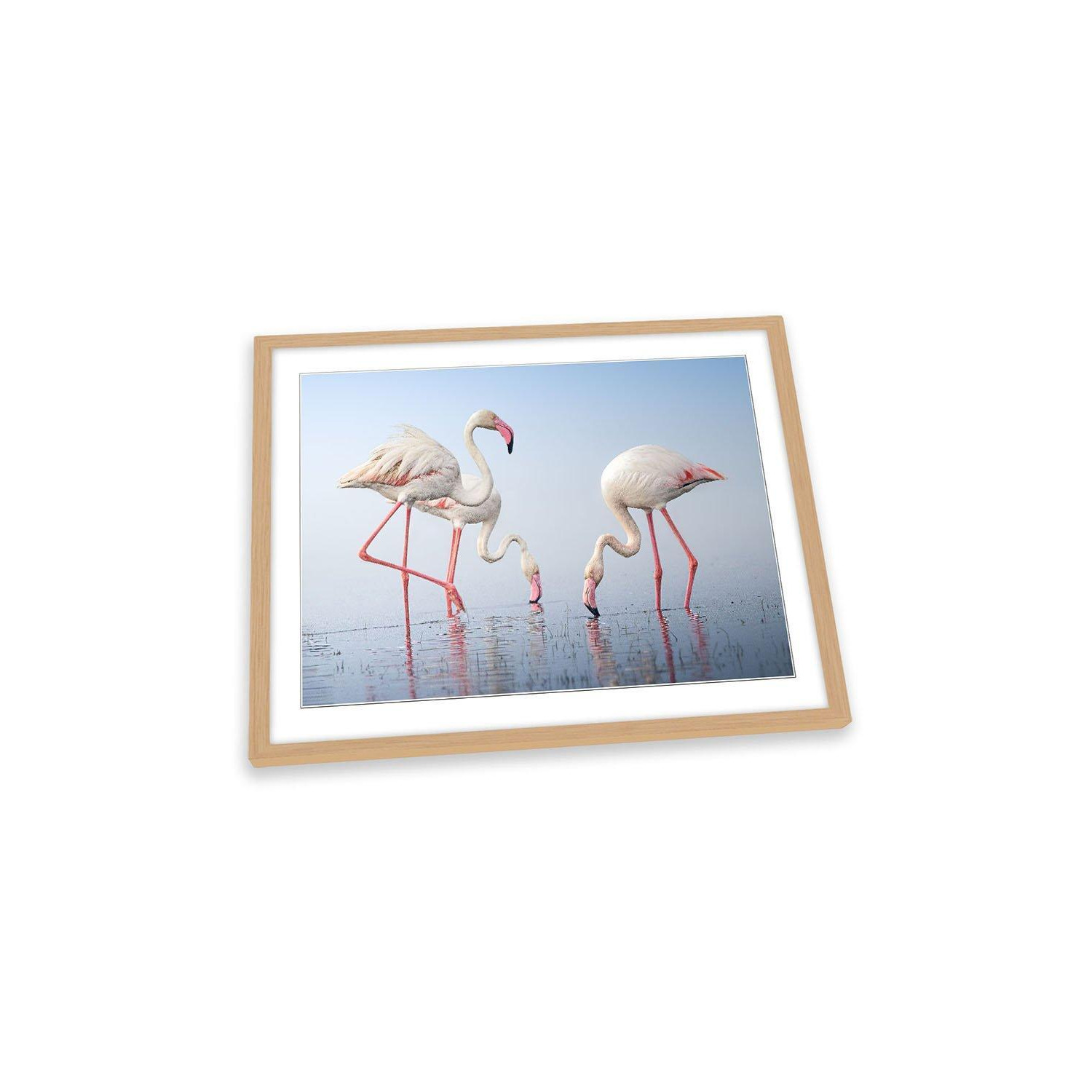 Pink Flamingos Birds Water Framed Art Print Picture Wall Artwork - (W)89cm x (H)64cm - image 1