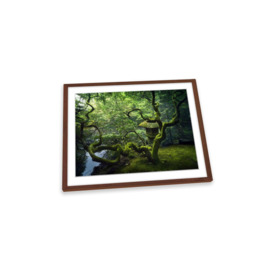 Japan Green Tree Zen Garden Framed Art Print Picture Wall Artwork - (W)35cm x (H)26cm