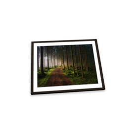 The Awakening Forest Nature Green Framed Art Print Picture Wall Artwork - (W)64cm x (H)47cm