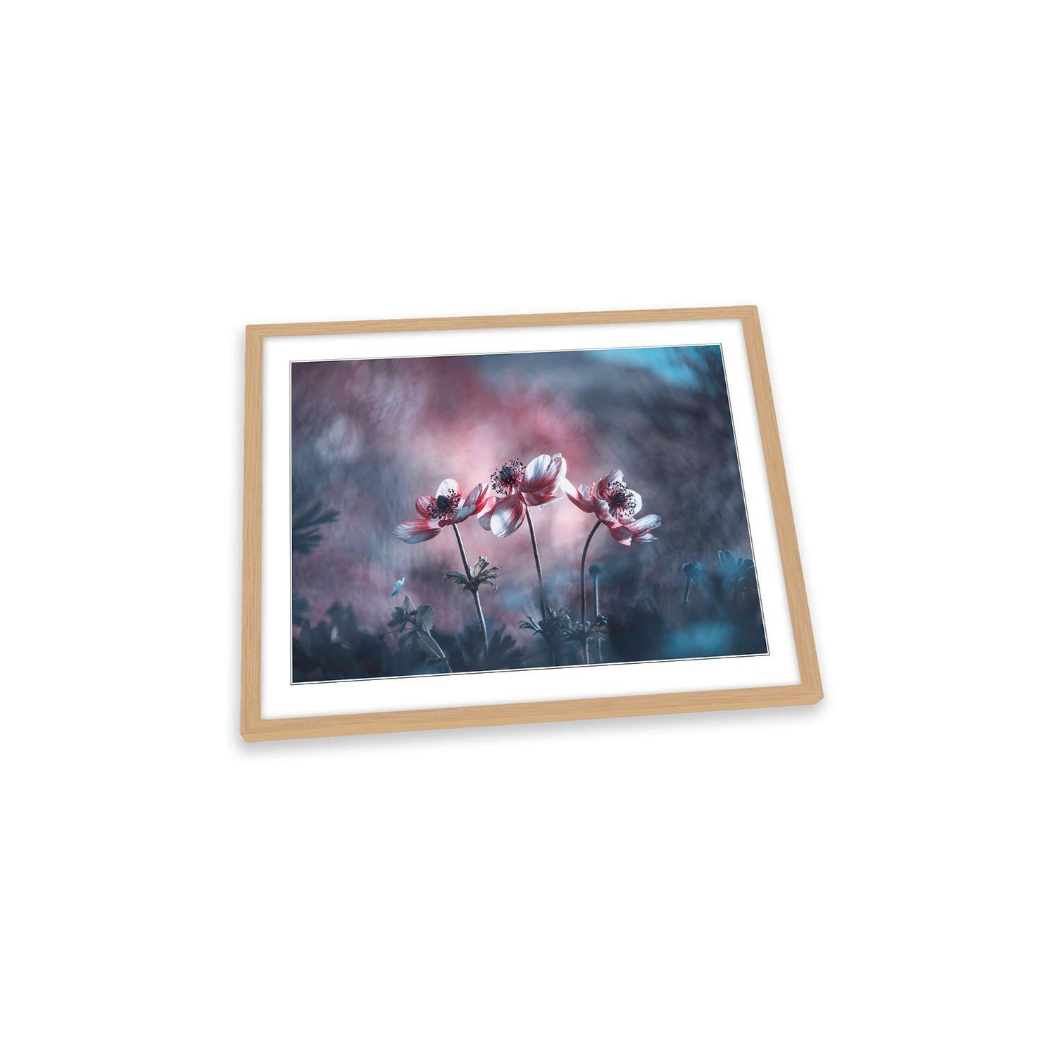 Ballerines Blossom Flowers Floral Garden Pink Framed Art Print Picture Wall Artwork - (W)47cm x (H)35cm