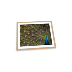 Peacock Flower Green and Blue Framed Art Print Picture Wall Artwork - (W)64cm x (H)47cm