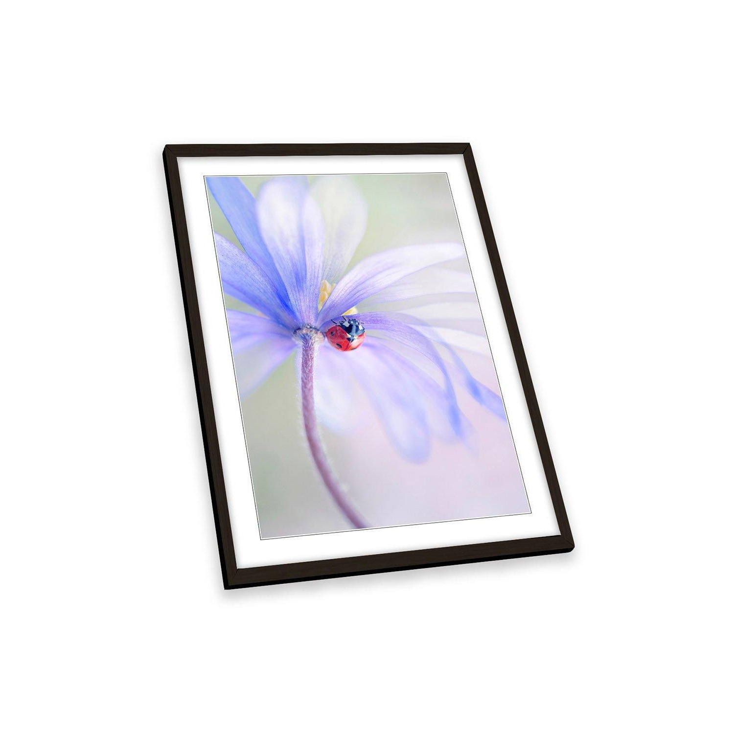 Spring Ladybird Blue Flower Floral Framed Art Print Picture Wall Artwork - (W)64cm x (H)89cm - image 1