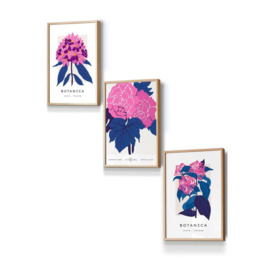 Set of 3 Oak Framed Pink and Navy Blue Flower Market Posies Wall Art - thumbnail 1