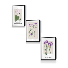 Set of 3 Black Framed Vintage Graphical Flower Market Purple Lilac Wall Art - thumbnail 1