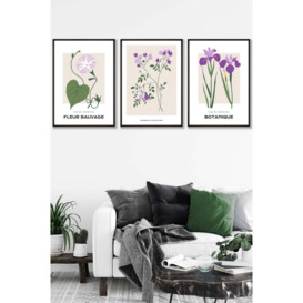 Set of 3 Black Framed Vintage Graphical Flower Market Purple Lilac Wall Art