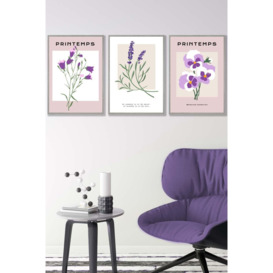 Set of 3 Light Grey Framed Vintage Graphical Lilac Purple Spring Flower Market Wall Art