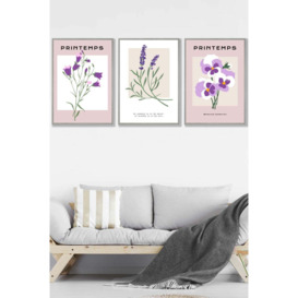 Set of 3 Light Grey Framed Vintage Graphical Lilac Purple Spring Flower Market Wall Art