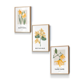Set of 3 Oak Framed Vintage Graphical Yellow Spring Flower Market Wall Art - thumbnail 1