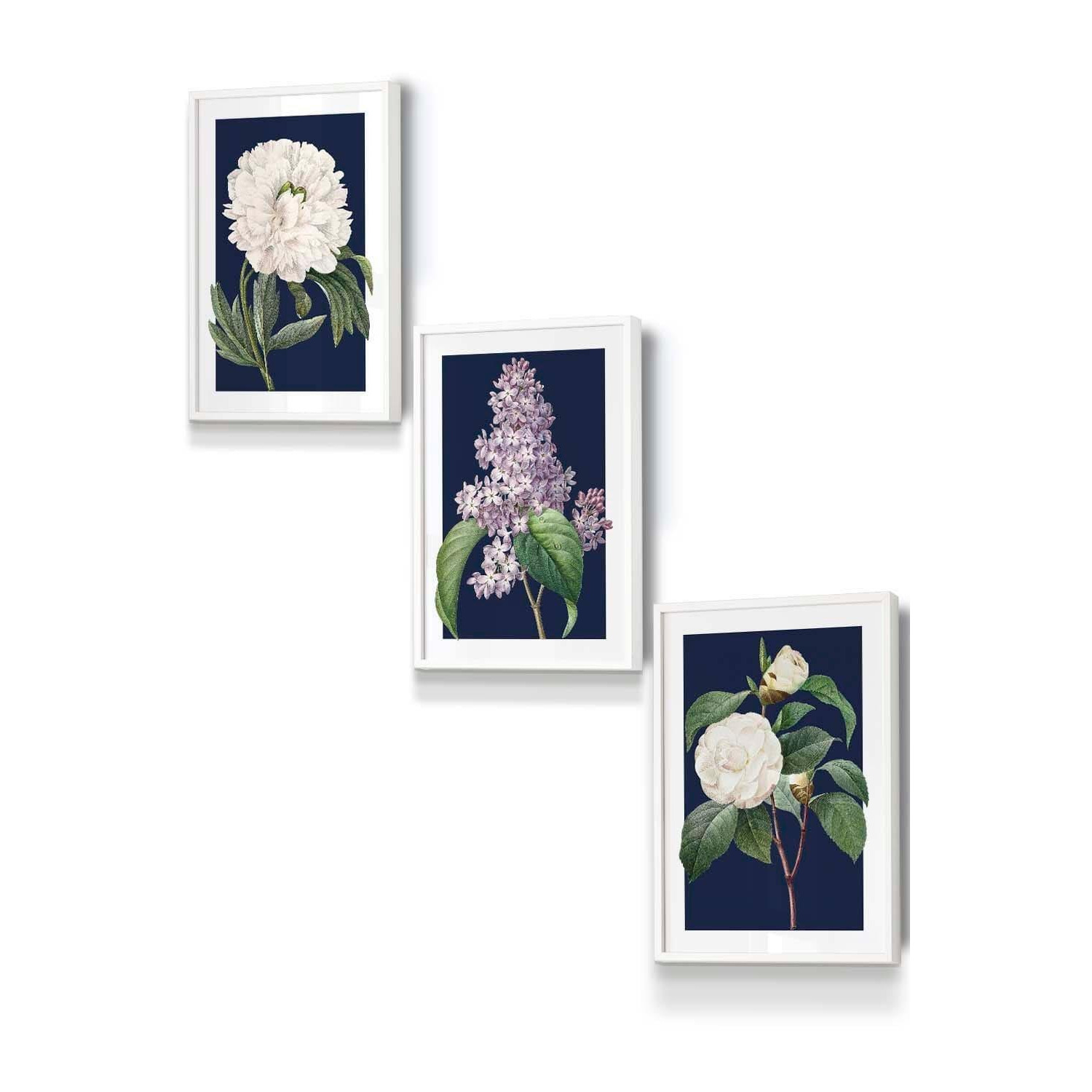 Set of 3 White Framed Vintage Flowers Lilac, Peony and Camellia on Navy Blue Wall Art - image 1