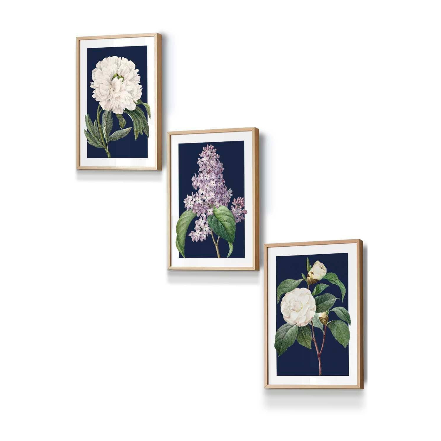 Set of 3 Oak Framed Vintage Flowers Lilac, Peony and Camellia on Navy Blue Wall Art - image 1