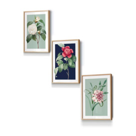 Set of 3 Oak Framed Vintage Flowers Camellia Blue and Green Wall Art - thumbnail 1